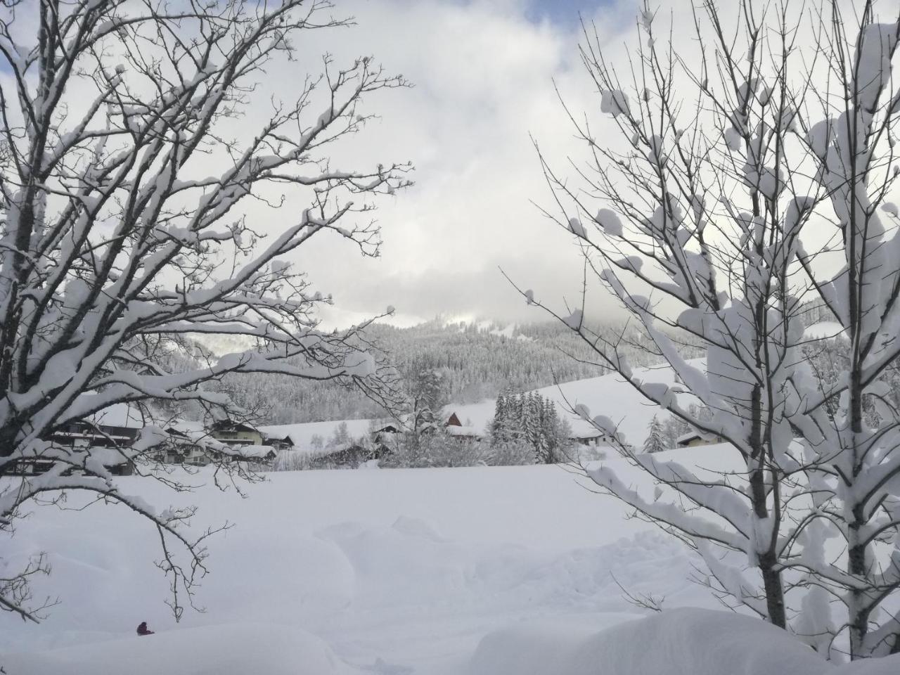 Hoellhof Dachstein West Russbach am Pass Gschuett Luaran gambar